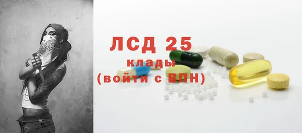винт Абаза