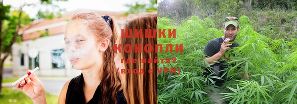 ешки Алзамай