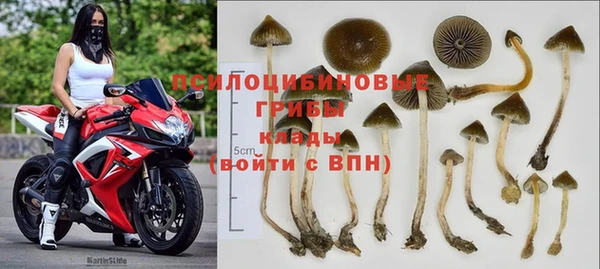 ешки Алзамай