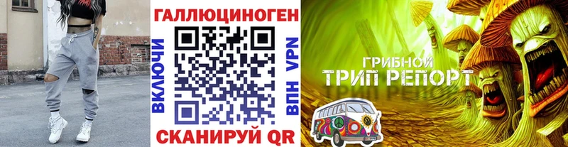 Галлюциногенные грибы Magic Shrooms Гусь-Хрустальный